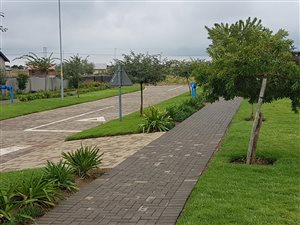2 Bed Cluster in Selcourt