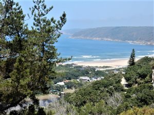 3.7 ha Land available in Wilderness Heights