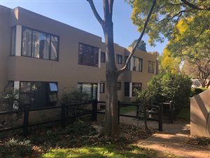 1 Bed Apartment in Parktown North