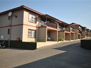 1 Bed Apartment in Pioneer Park