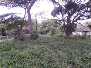 4549 m² Land available in Park Rynie
