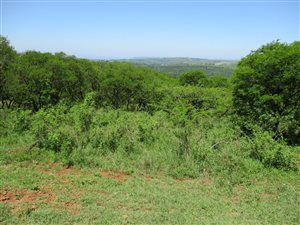 4239 m² Land available in Manderston