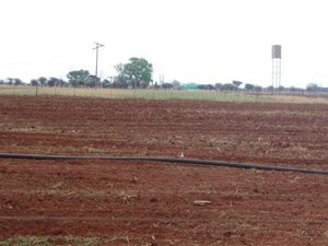 21.4 ha Farm in Bela-Bela (Warmbaths)