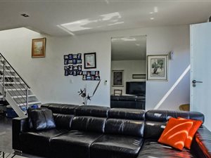 2 Bed Apartment in Newtown