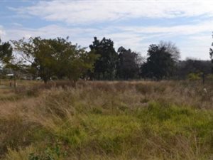 903 m² Land available in Linksfield North