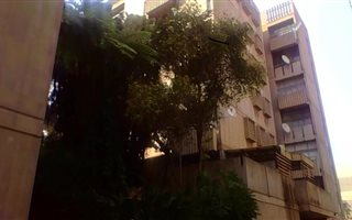 2 Bedroom Apartment in Arcadia
