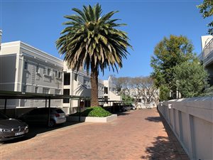 2 Bed Apartment in Morningside