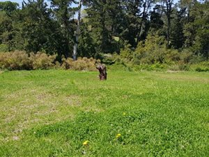1132 m² Land available in Heather Park