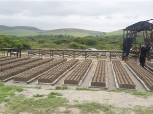10000 m² Commercial space in Empangeni