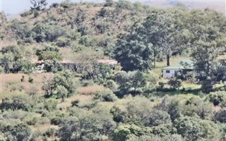121.2 ha Farm in Sterkfontein and surrounds