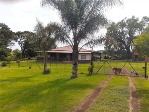 2 ha Farm in Laersdrif