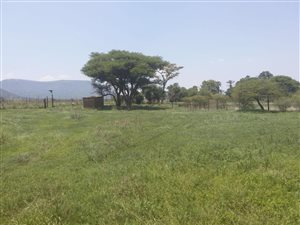 219 ha Farm in Groblersdal