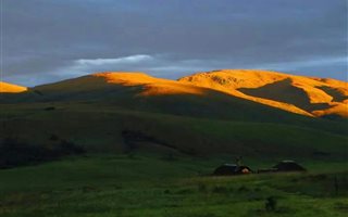 42 ha Smallholding in Dargle