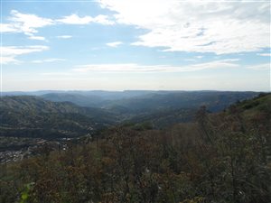 8000 m² Land available in Monteseel