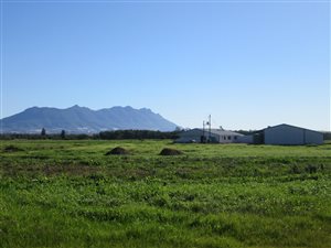 71.8 ha Farm in Riebeek Kasteel