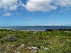 176.9 ha Farm in Paradise Beach