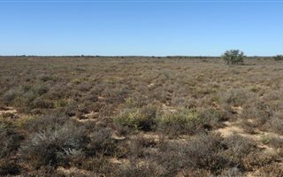3821 ha Farm in Beaufort West