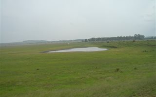 428 ha Farm in Dewetsdorp