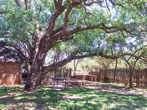 Game Farm in Marblehall