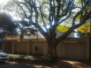 405 m² Commercial space in Melville
