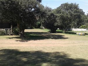 Farm in Bethal