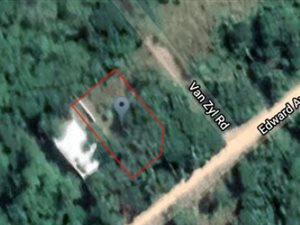 539 m² Land available in Palm Beach