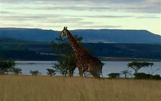 1 ha Land available in Albert Falls
