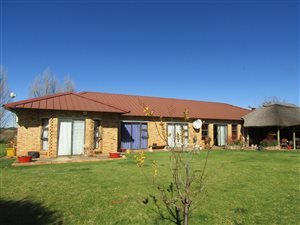 11 ha Farm in Bainsvlei