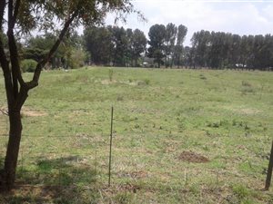 2.2 ha Land available in Homelands