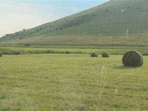 78.3 ha Farm in Belfast