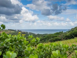 1747 m² Land available in Zululami Luxury Coastal Estate