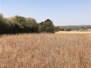 2.3 ha Land available in Randjesfontein