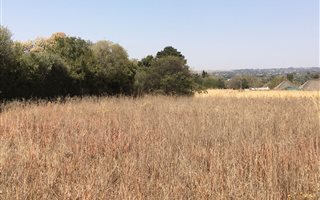 2.3 ha Land available in Randjesfontein