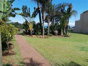 1 Bed Apartment in Warner Beach