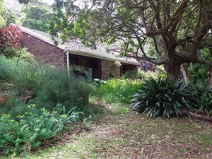 25 ha Farm in Glentana