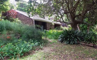 25 ha Farm in Glentana