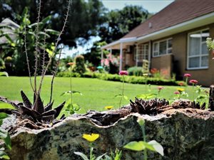 10 ha Farm with House in Meyerton