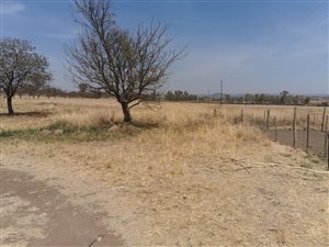 21 ha Farm in Honingnestkrans