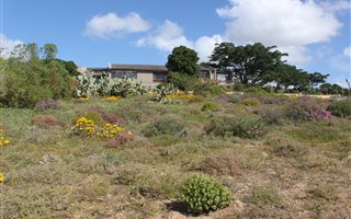 988 m² Land available in Britannica Heights