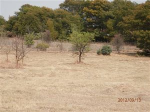 1 ha Land available in Mooikloof Equestrian Estate