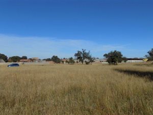 1200 m² Land available in Flamingo Park