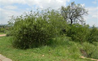 858 m² Land available in Port D Afrique
