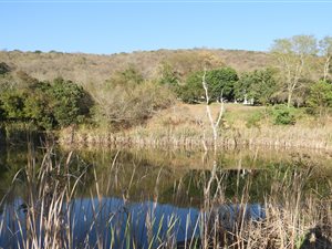 32 ha Farm in Hazyview