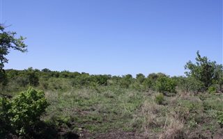 14 ha Land available in Roossenekal