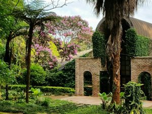 2 ha Smallholding in Tzaneen