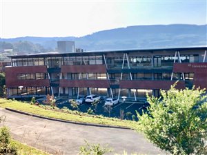 139 m² Office Space in Montrose