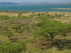 2547 m² Land available in Albert Falls