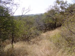 3000 m² Land available in Blyde Wildlife Estate