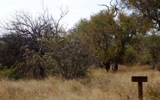 3000 m² Land available in Blyde Wildlife Estate