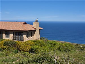 980 m² Land available in Village On Sea